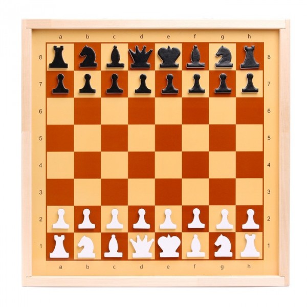 Шахматы и шашки демонстрационные магнитные (мини)
