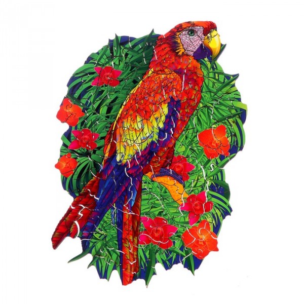 Пазл «Красочный попугай»
